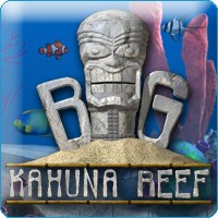 Big Kahuna Reef screenshot